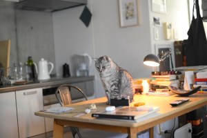 連載のつづきとともに春を待つ、7km, 20260115