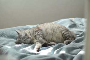 嬉しさも悲しさもなく冬の旅、0km, 20260126