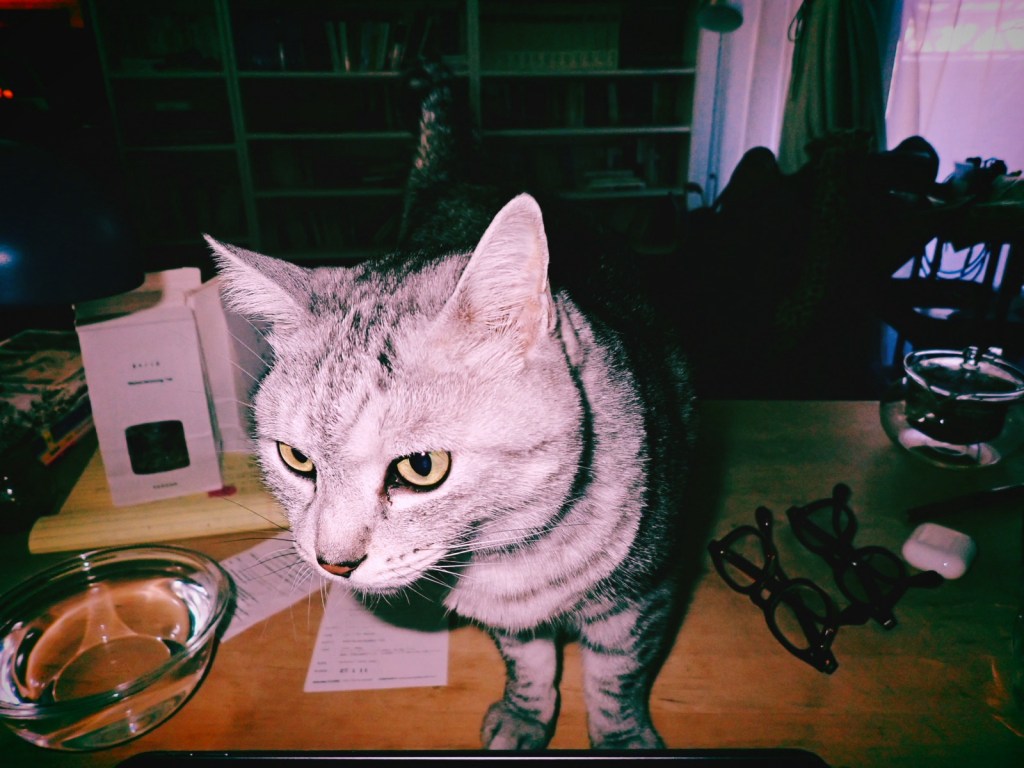 裸木や市民薄明奥にあり、5km, 20260131