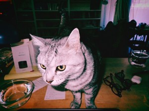 裸木や市民薄明奥にあり、5km, 20260131