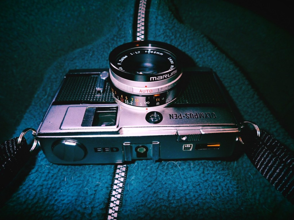 立春の部屋の日向に猫と我、0km, 20260204