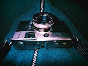 立春の部屋の日向に猫と我、0km, 20260204