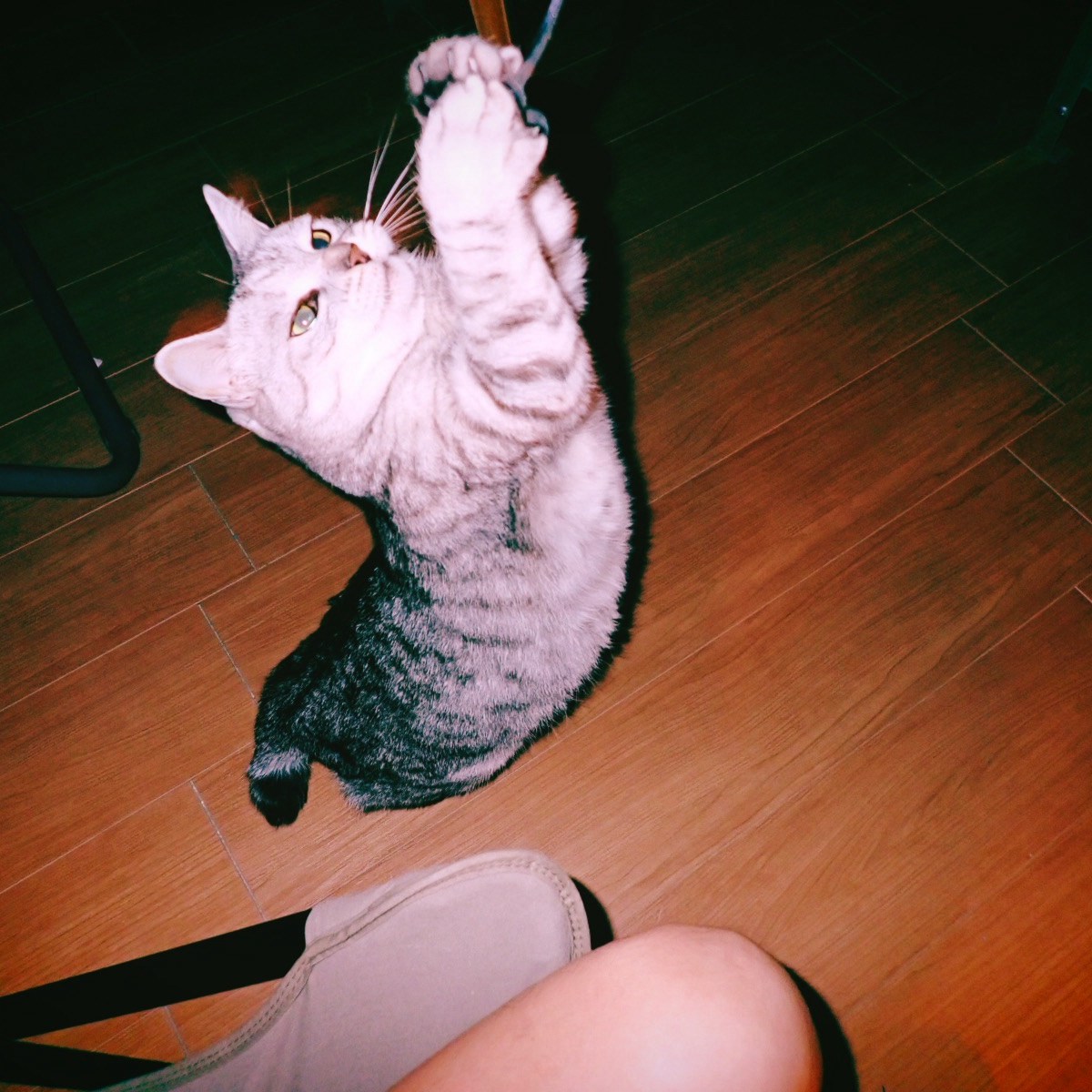 ビルにをり外の陽恋し春の昼、0km, 20260218