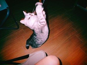 ビルにをり外の陽恋し春の昼、0km, 20260218