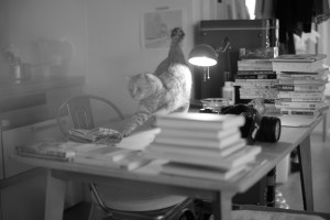 春浅しなにをするにも迷ひけり、0km, 20260206