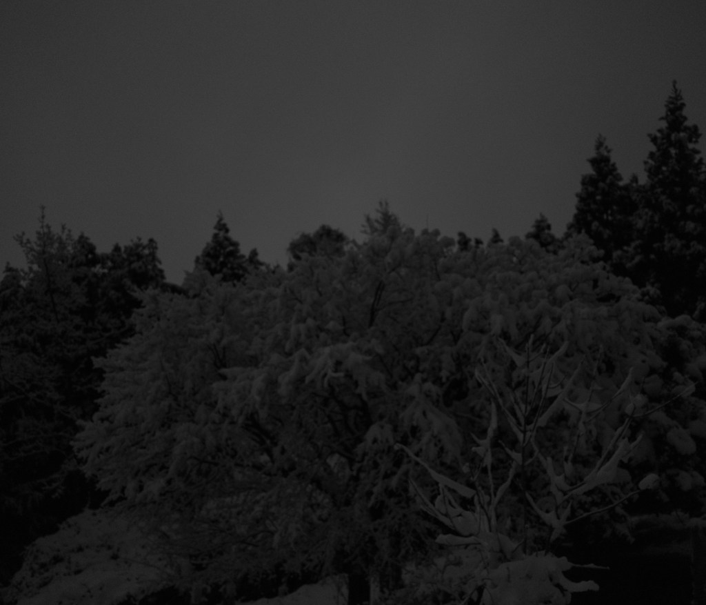 顔を洗ひ名残の雪の静けさよ、0km, 20260207