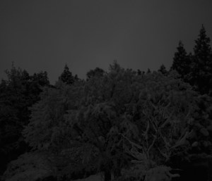 顔を洗ひ名残の雪の静けさよ、0km, 20260207