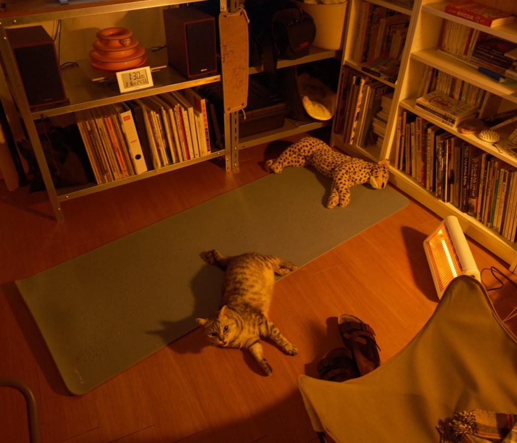 春眠や寝ることのほかなにもせず、0km, 20260215