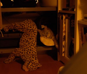 ねじ伏せて歓喜の人や冬五輪、0km, 20260220