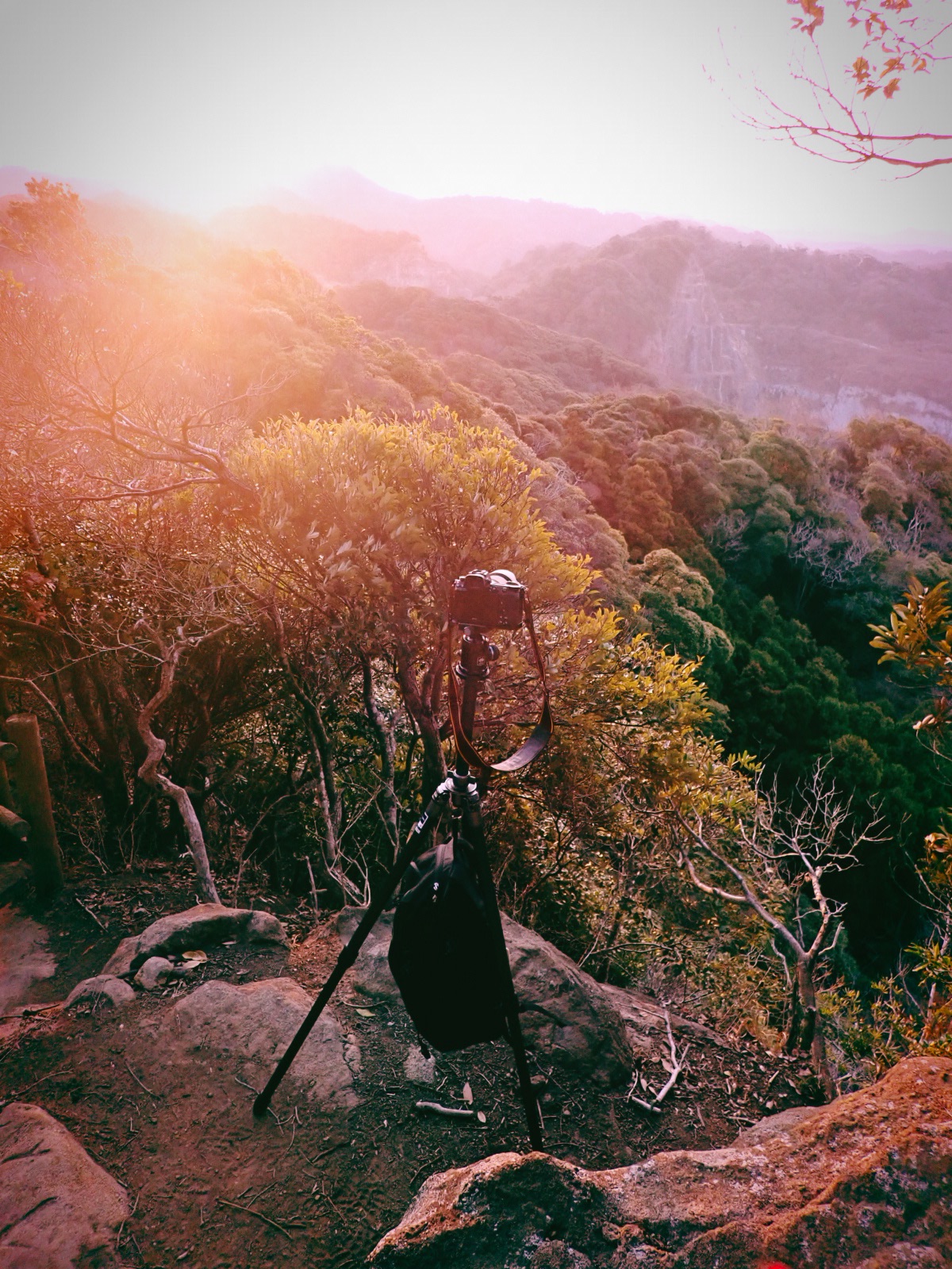 我行けば海風寄せる春の闇、0km, 20260320