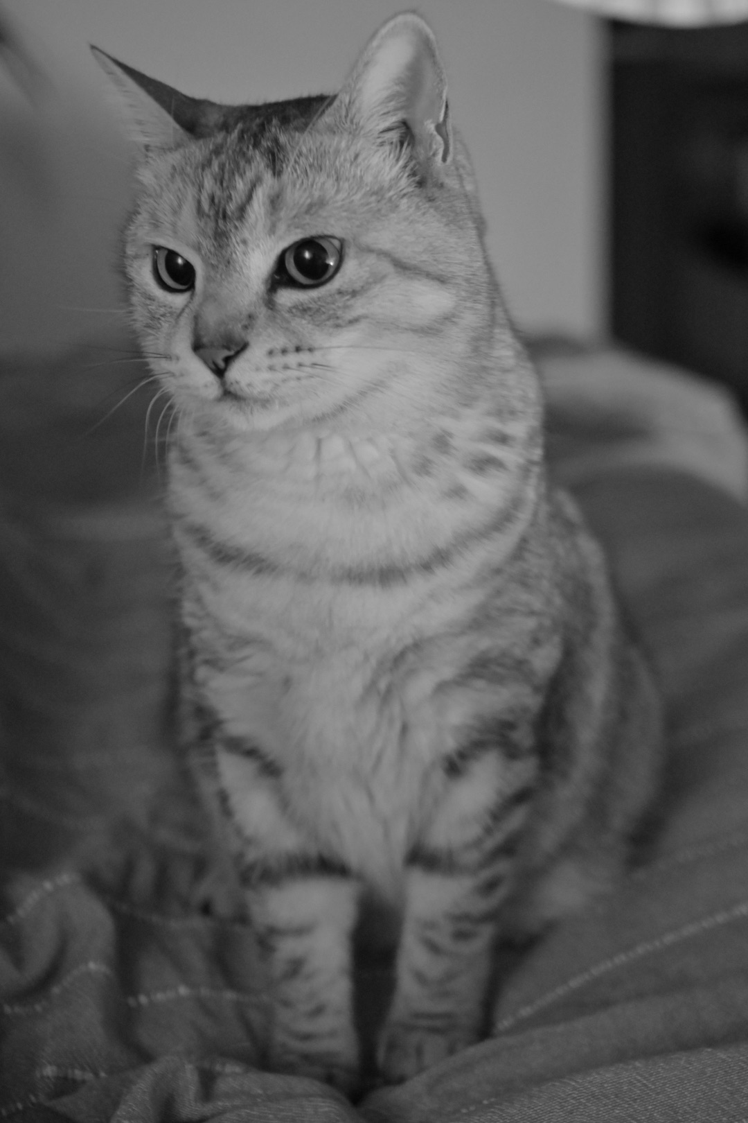 外界はガラスの外に春時雨、5km, 20260302