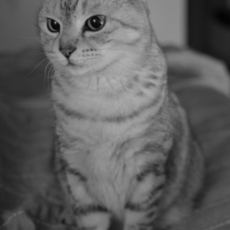 外界はガラスの外に春時雨、5km, 20260302