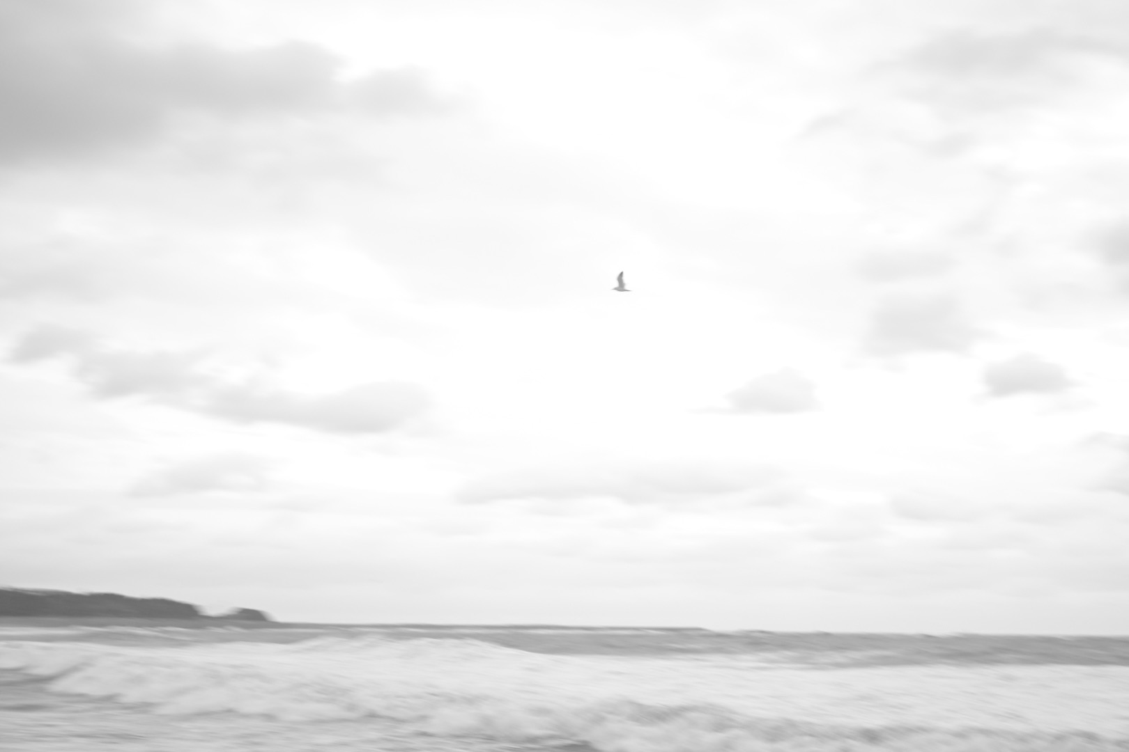 荒東風に立ち東北は十五年、0km, 20260311