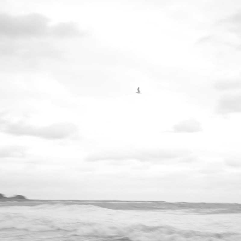 荒東風に立ち東北は十五年、0km, 20260311