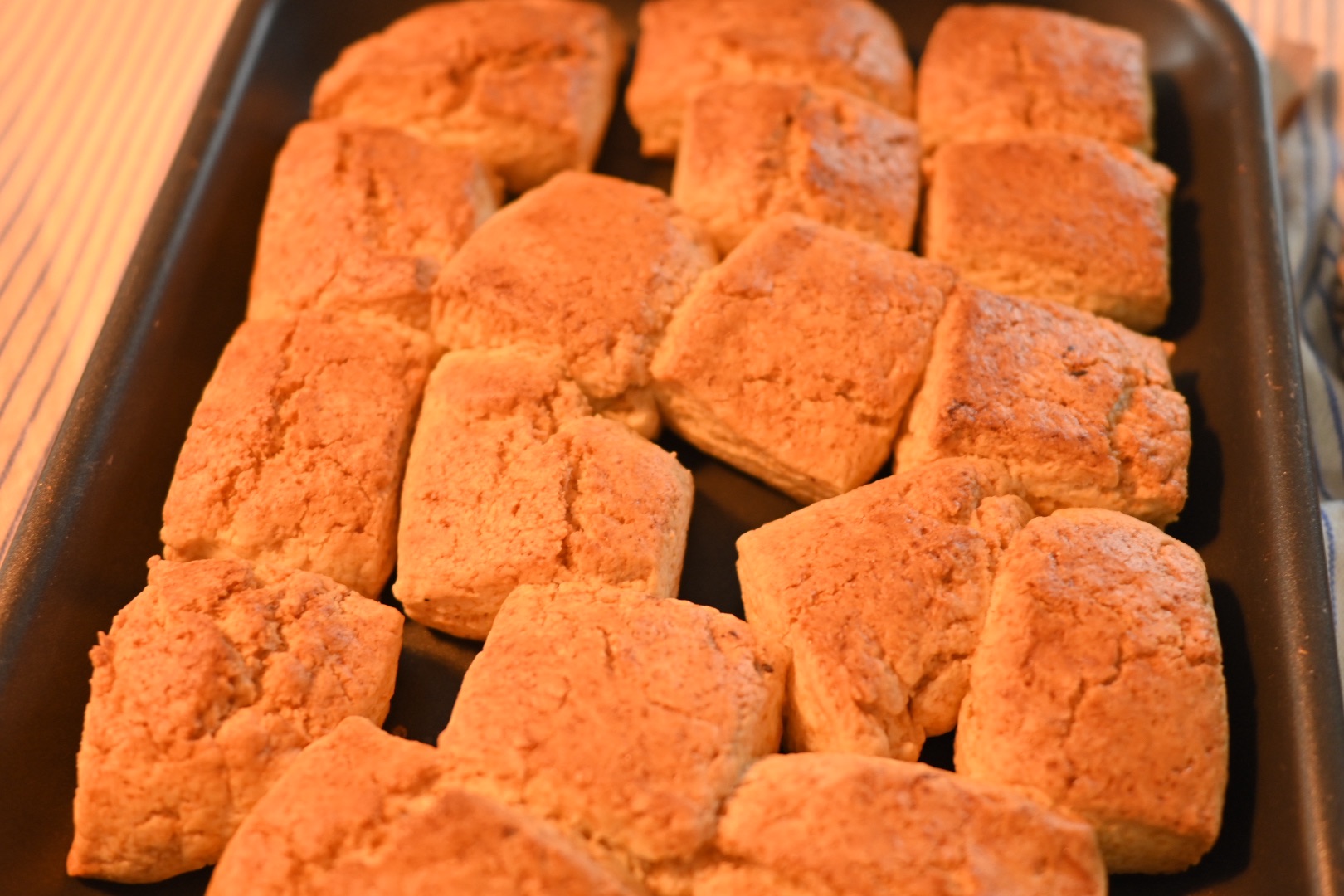 花のこと気にして籠るキチンかな、0km, 20260329