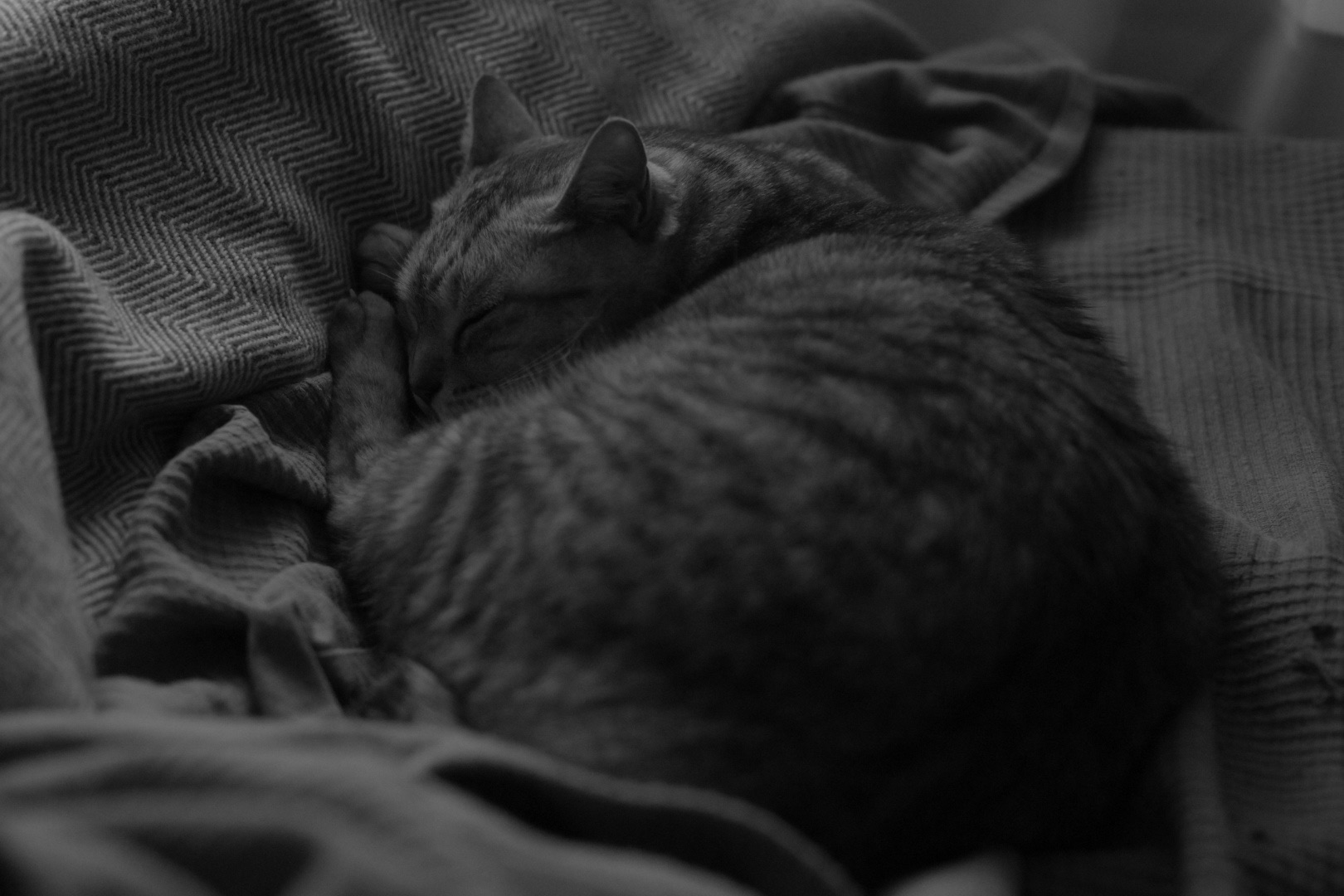 道の端にこの身を寄せて春惜しむ、0km, 20260403