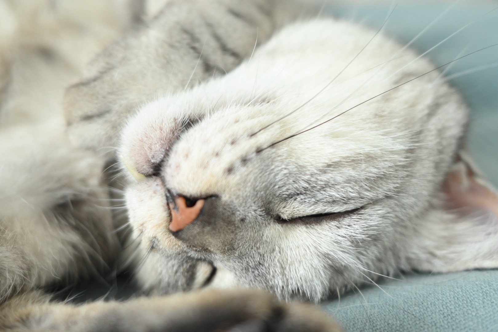 忘れ物二三もありて春夕焼、0km, 20260406