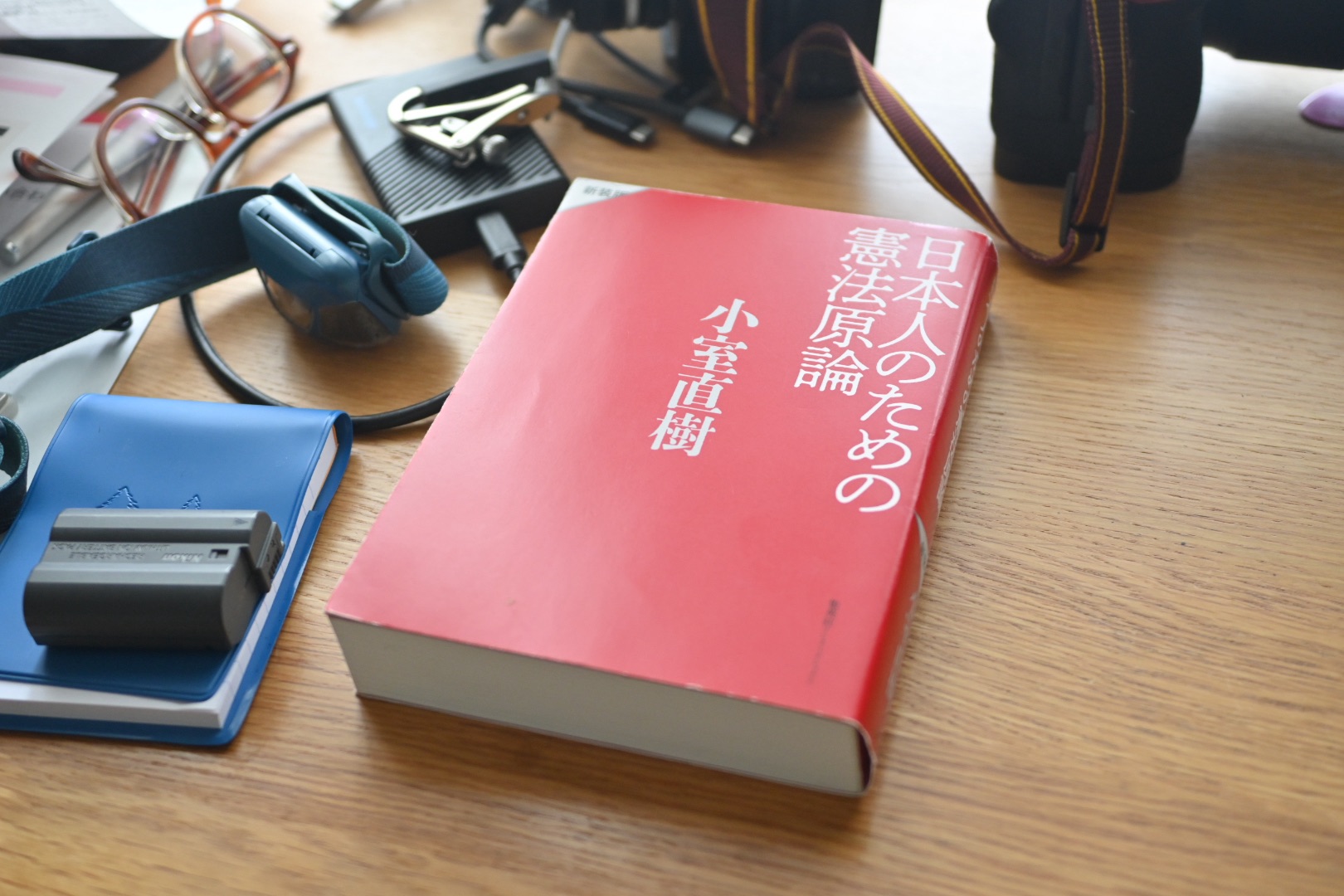 花過ぎの街に灯りやデモ行進、0km, 20260408