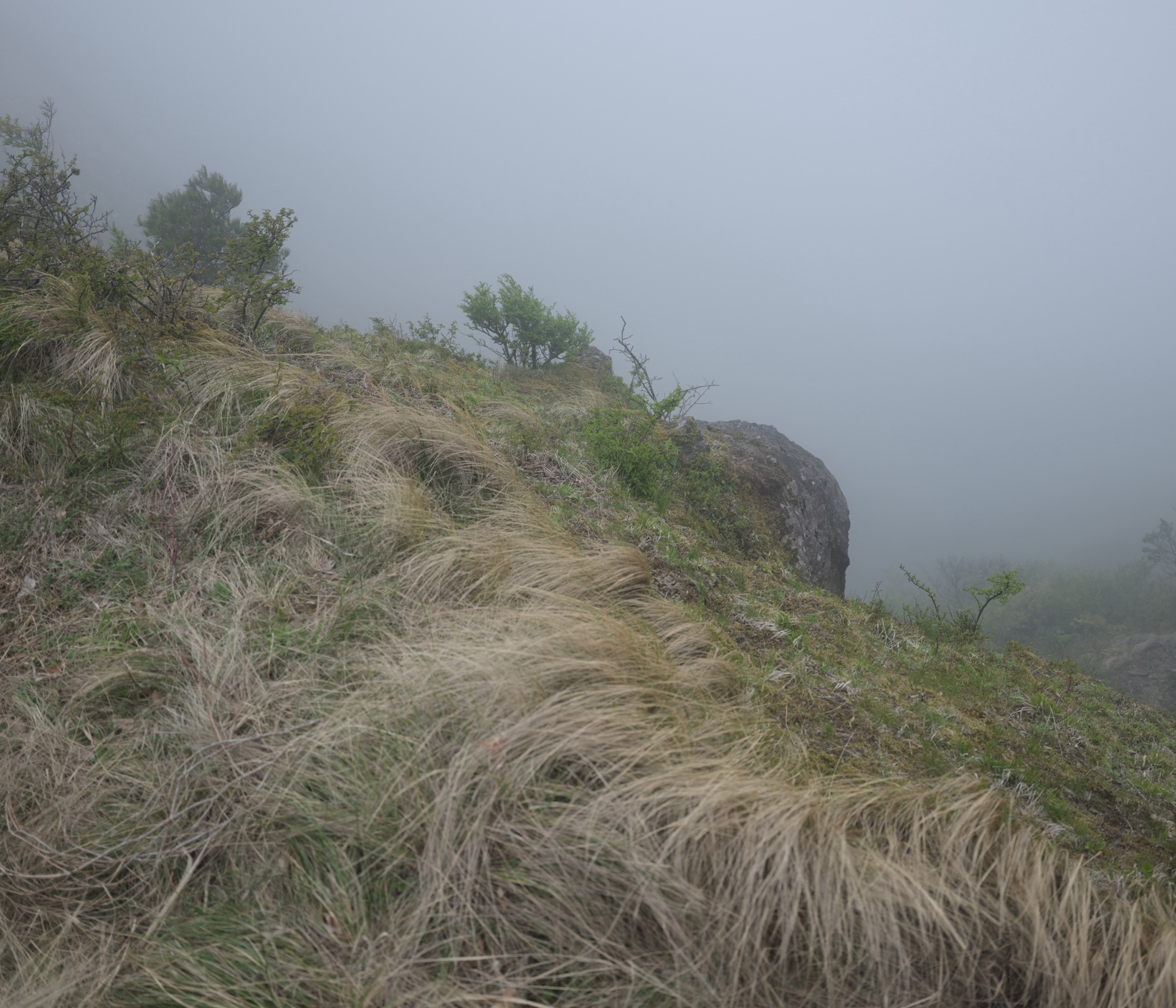 雲中に生死の境山笑ふ、0km, 20260506
