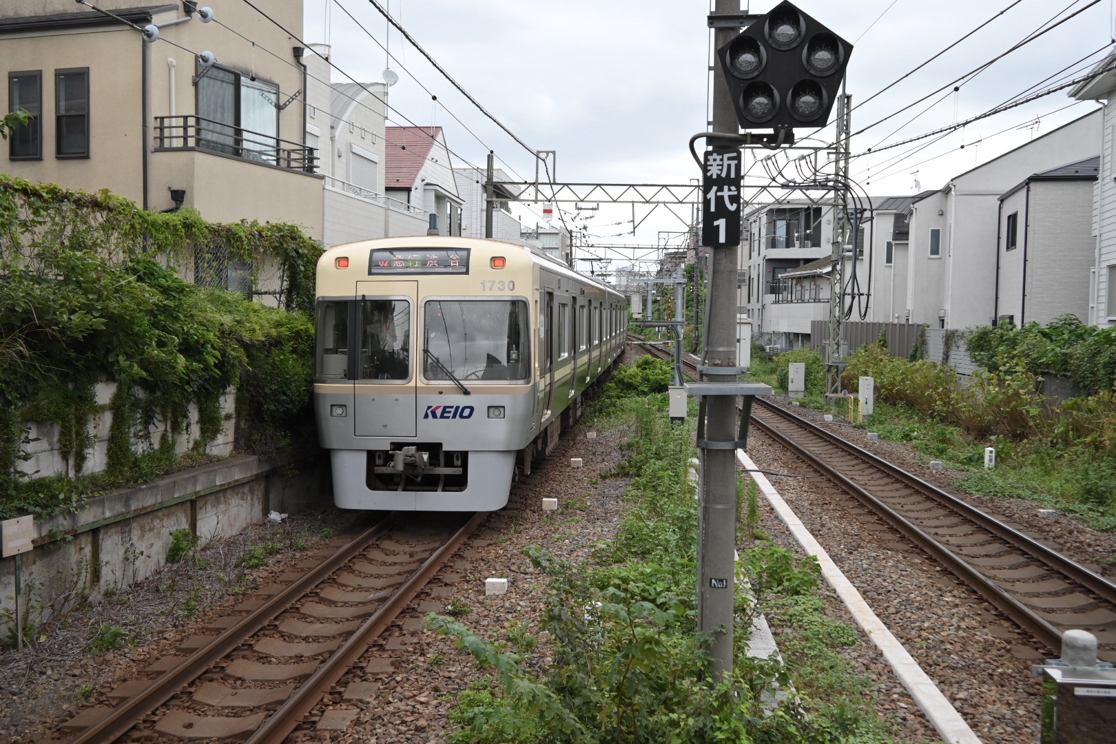 スクリーンをへだてうつつの秋の夜、0km, 20260901